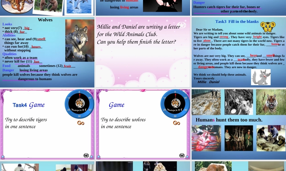 江苏省永丰初级中学八年级英语上册 Unit 5 Wild animals Integrated skills课件.ppt