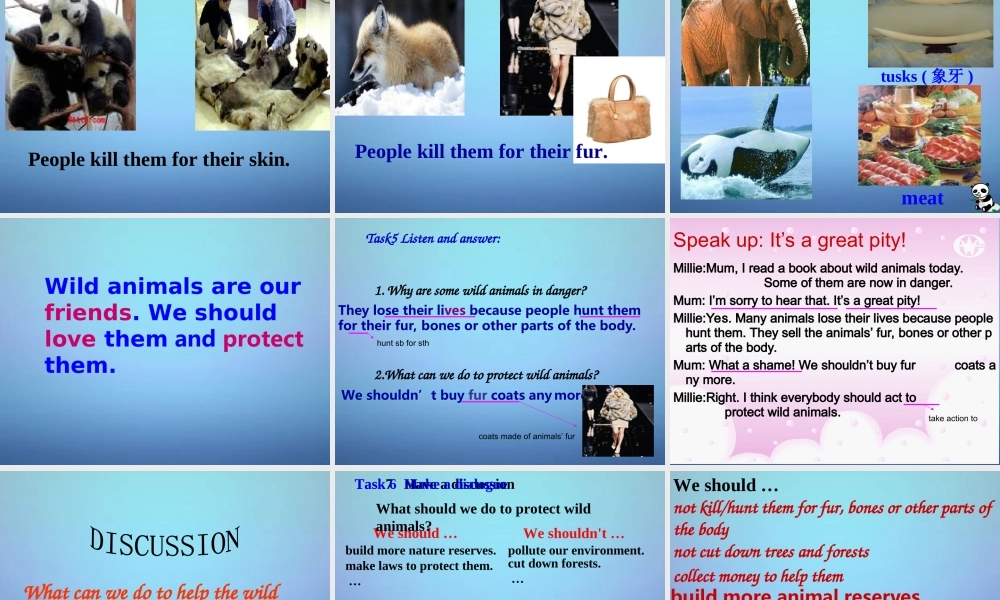 江苏省永丰初级中学八年级英语上册 Unit 5 Wild animals Integrated skills课件.ppt