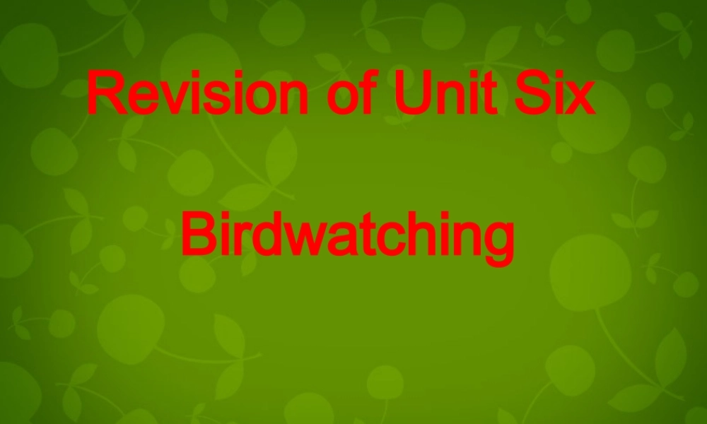 江苏省永丰初级中学八年级英语上册《Unit 6 Bird watching Revision》课件.ppt