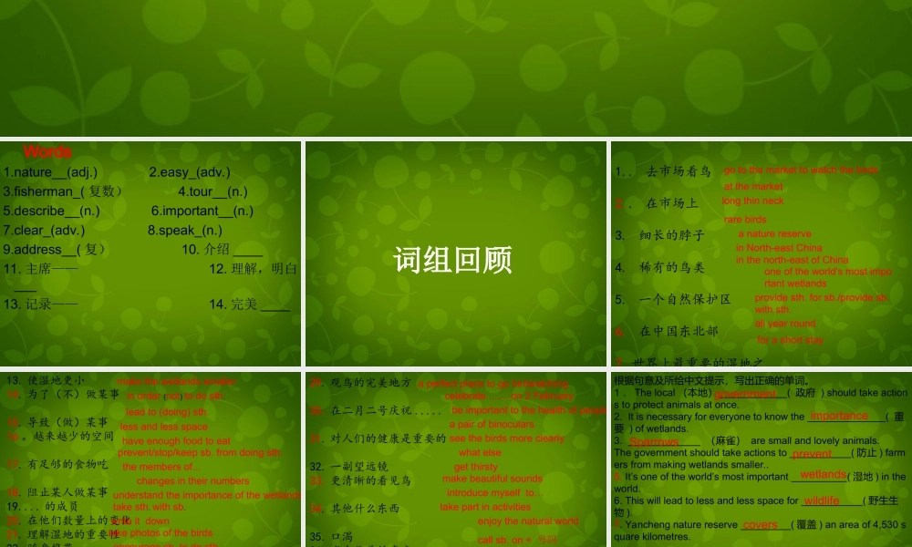 江苏省永丰初级中学八年级英语上册《Unit 6 Bird watching Revision》课件.ppt