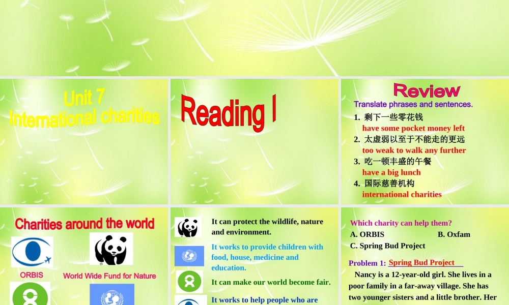 江苏省永丰初级中学八年级英语下册 Unit 7 International Charities Reading I课件 .ppt