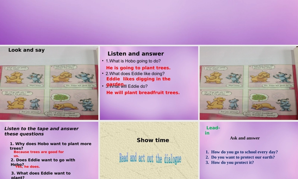 江苏省永丰初级中学八年级英语下册 Unit 8 A green world Comic strip & Welcome to the Unit课件 .ppt