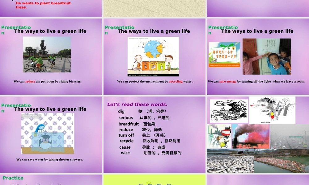 江苏省永丰初级中学八年级英语下册 Unit 8 A green world Comic strip & Welcome to the Unit课件 .ppt