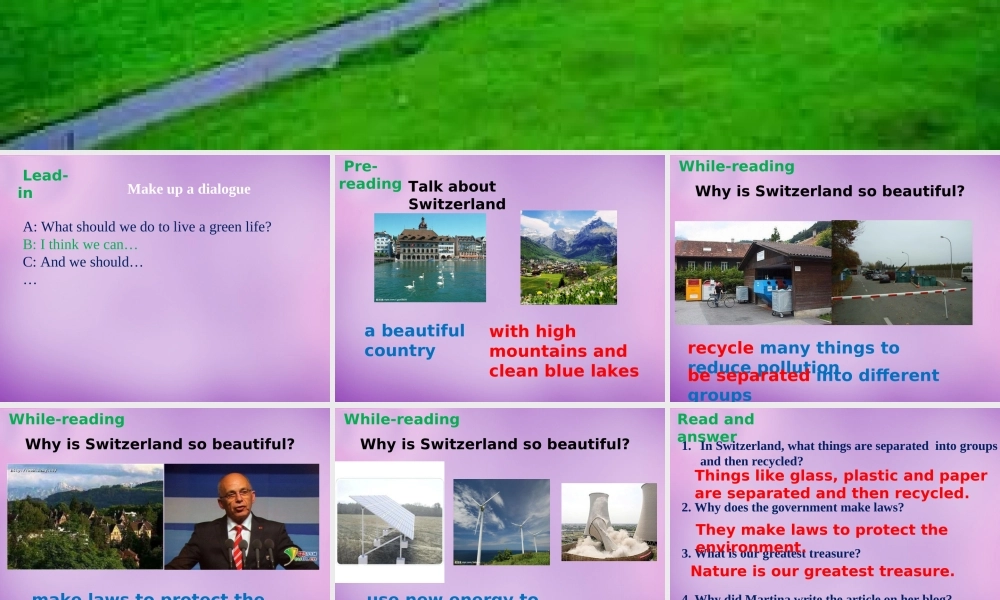 江苏省永丰初级中学八年级英语下册 Unit 8 A green world Green Switzerland课件 .ppt