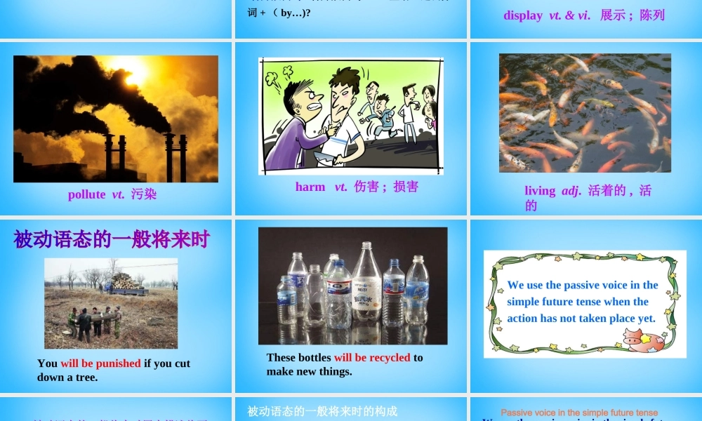 江苏省永丰初级中学八年级英语下册 Unit 8 A green world Grammar课件 .ppt