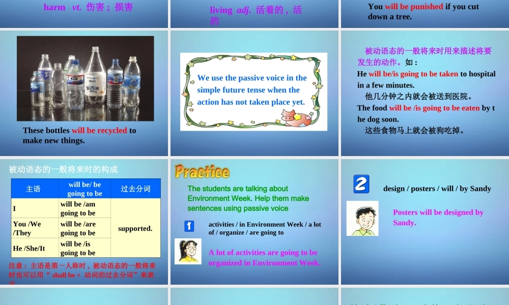 江苏省永丰初级中学八年级英语下册 Unit 8 A green world Grammar课件2 .ppt