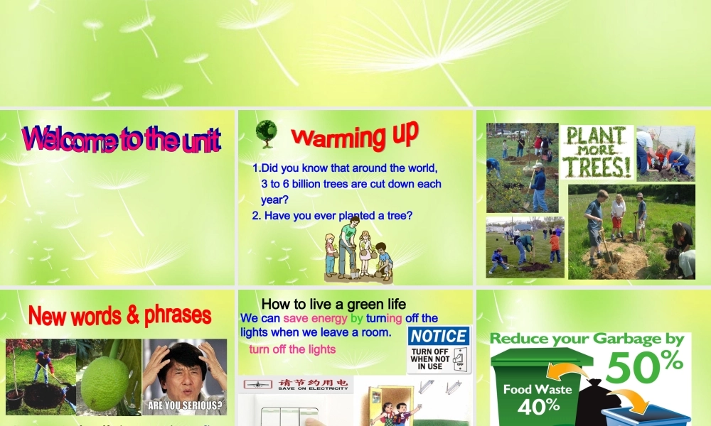 江苏省永丰初级中学八年级英语下册 Unit 8 A green world Welcome to the unit课件 .ppt