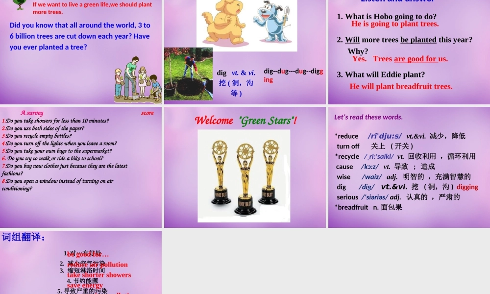 江苏省永丰初级中学八年级英语下册 Unit 8 A green world课件1 .ppt