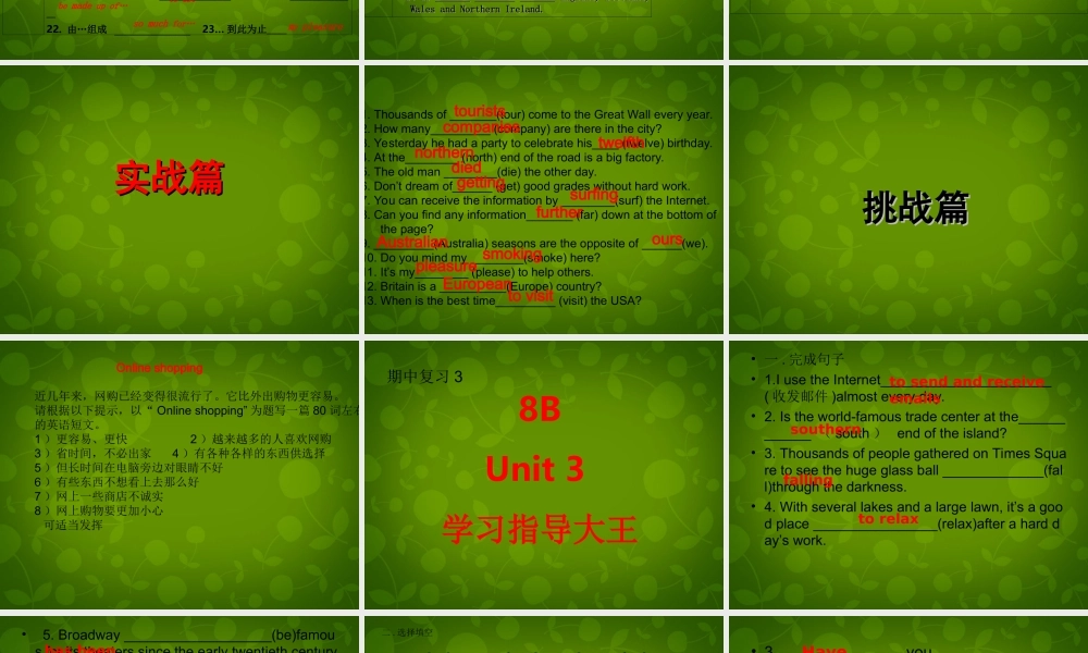 江苏省永丰初级中学八年级英语下册《Unit 3 Online tours》期中复习课件 .ppt