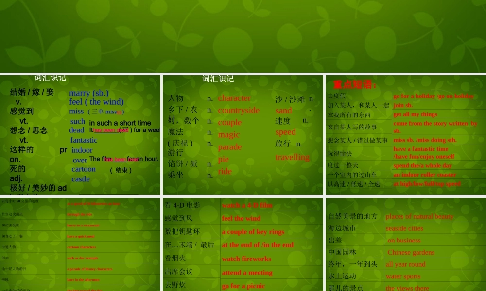 江苏省永丰初级中学八年级英语下册《Unit 2 Travelling Revision》期中复习课件 .ppt