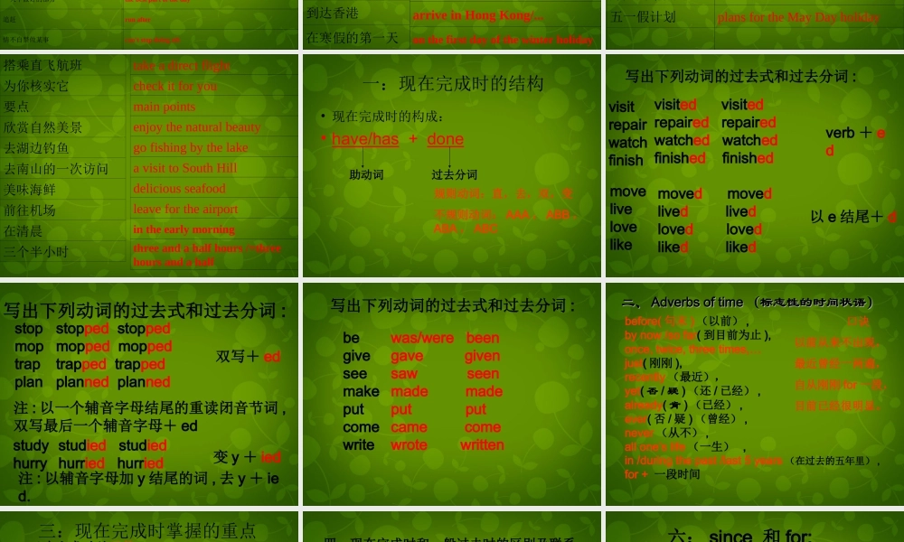 江苏省永丰初级中学八年级英语下册《Unit 2 Travelling Revision》期中复习课件 .ppt