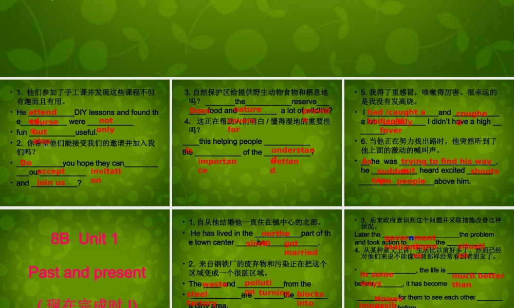 江苏省永丰初级中学八年级英语下册《Unit 4 A good read》期中复习课件 .ppt