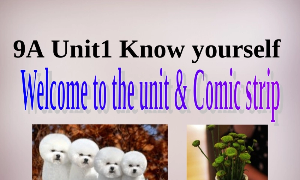 江苏省永丰初级中学九年级英语上册 Unit 1 Know yourself comic and welcome课件 .ppt
