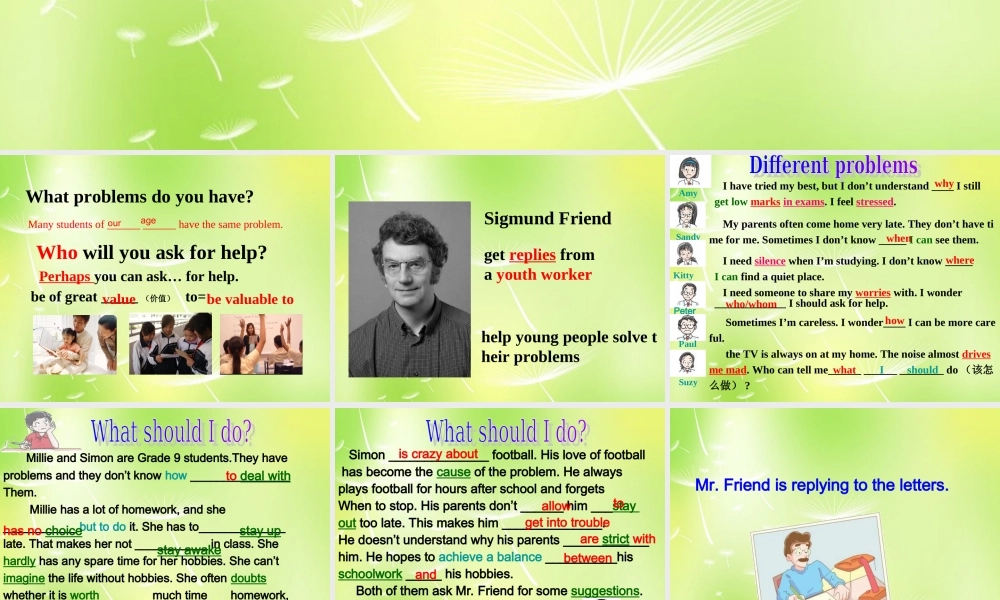 江苏省永丰初级中学九年级英语上册 Unit 3 Teenage problems复习课件 .ppt