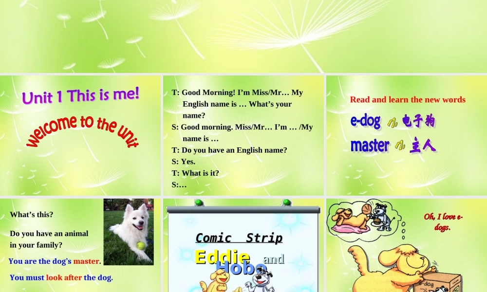 江苏省永丰初级中学七年级英语上册 Unit 1 This is me Welcome to the unit课件 .ppt