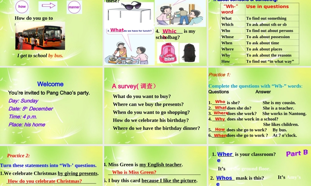 江苏省永丰初级中学七年级英语上册 Unit 5 Let’s celebrate Grammar课件 .ppt