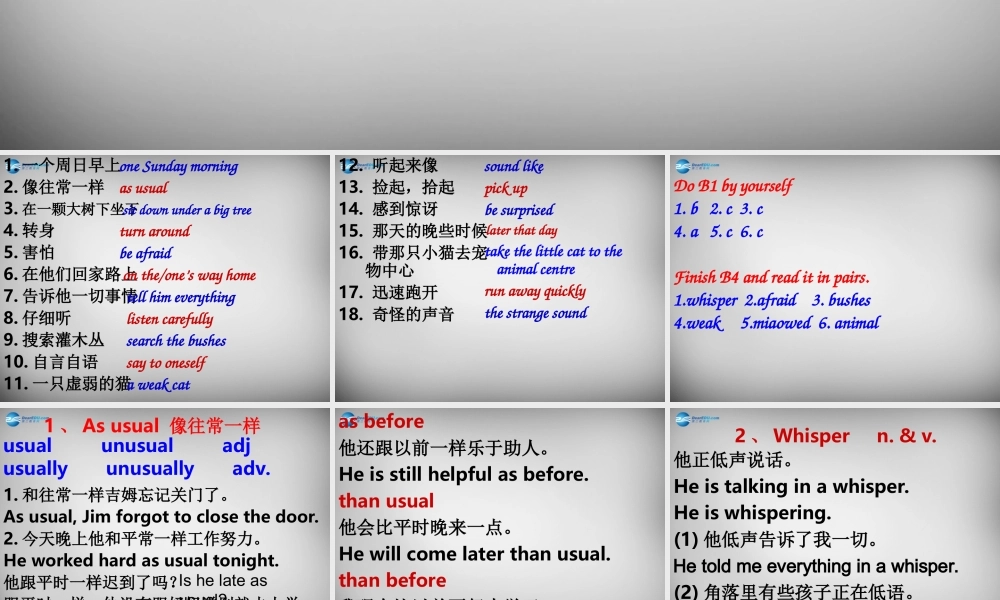 江苏省永丰初级中学七年级英语上册《Unit 5 Let’s celebrate Language points》课件 .ppt