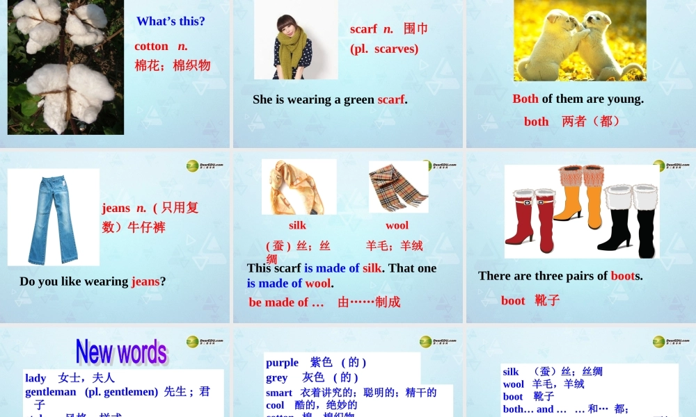 江苏省永丰初级中学七年级英语上册 Unit 8 Fashion Reading I课件 .ppt