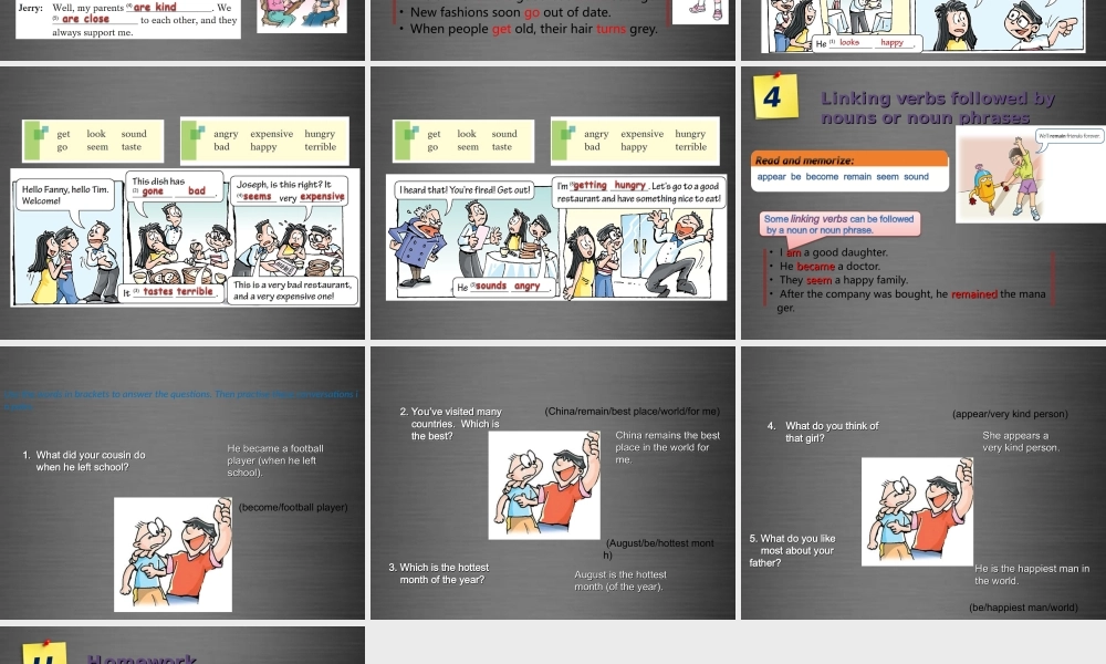 九年级英语上册 Module 2 Unit 3 Family life Period 3课件 .ppt