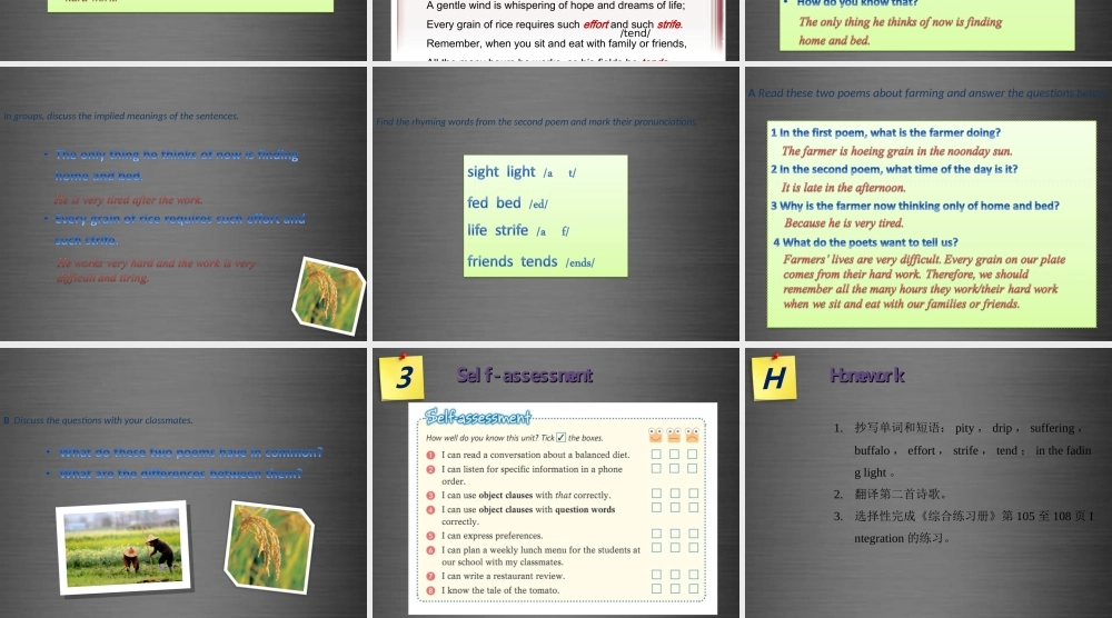 九年级英语上册 Module 3 Unit 6 Healthy diet Period 6课件 .ppt