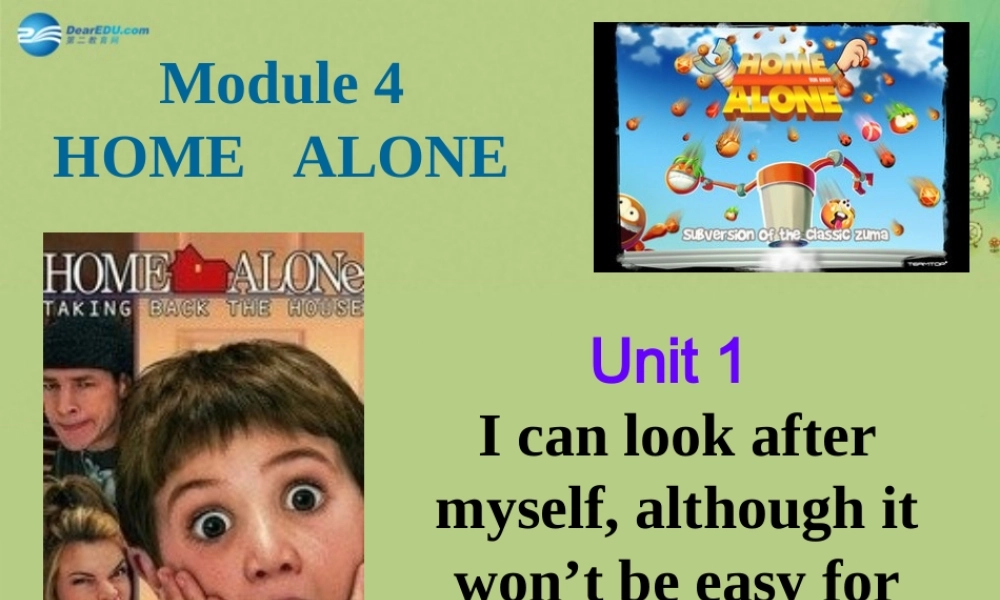 九年级英语上册 Module 4 Home alone Unit 1课件.ppt