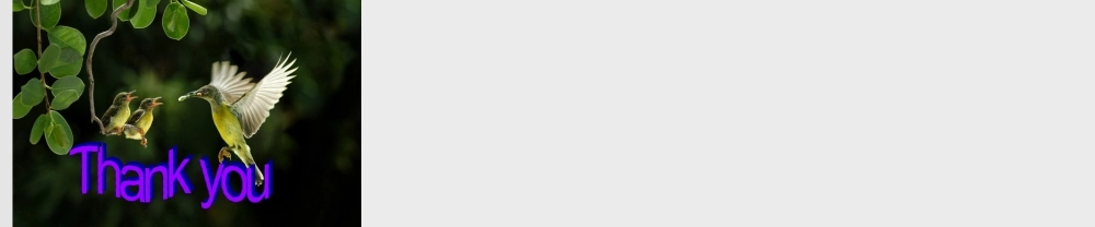 九年级英语上册 Module 6 Problems Unit 1 If I start after dinnerI’ll finish it before I go to bed课件.ppt