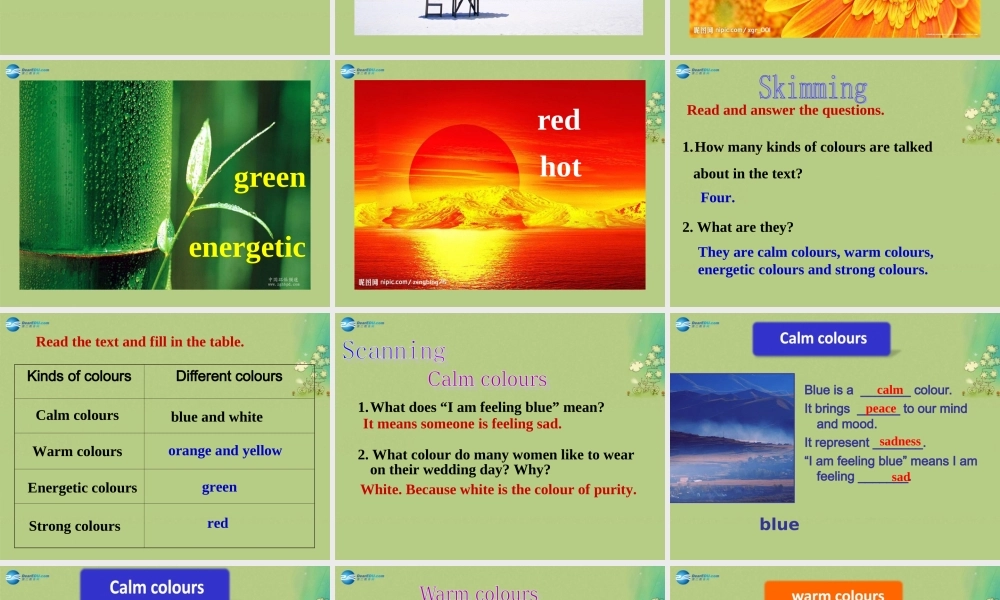 九年级英语上册 Unit 2 Colour Reading课件（1）.ppt