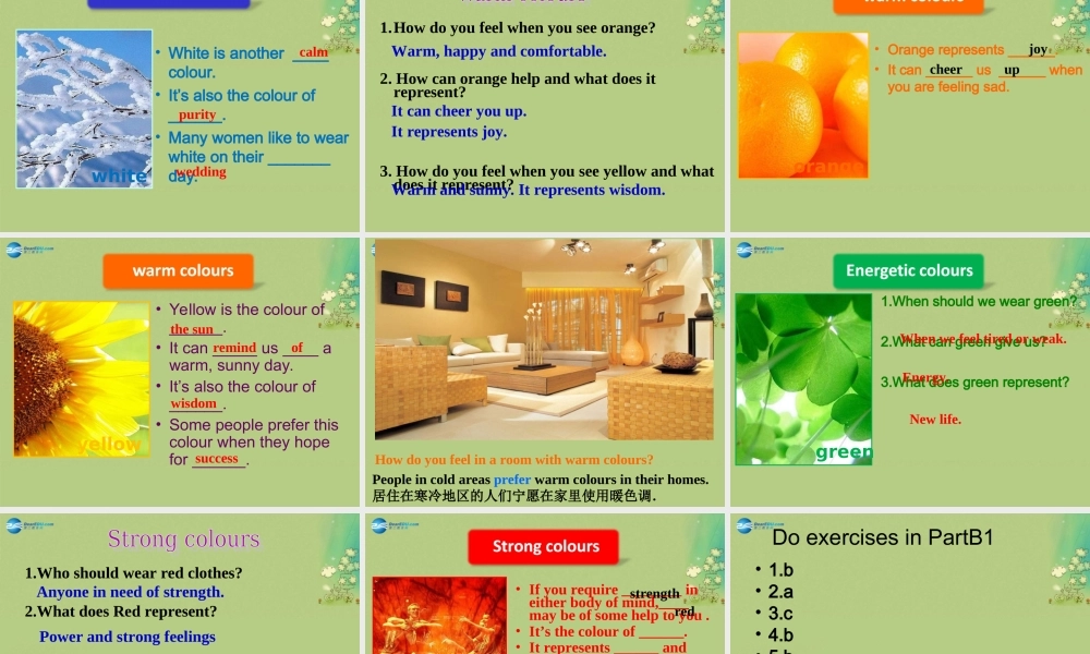 九年级英语上册 Unit 2 Colour Reading课件（1）.ppt