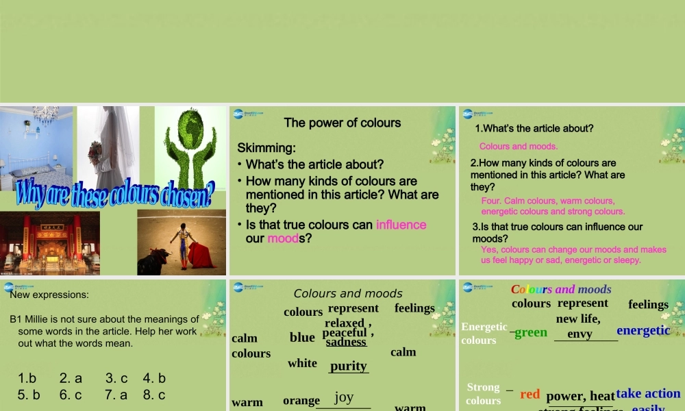 九年级英语上册 Unit 2 Colour Reading课件（2）.ppt