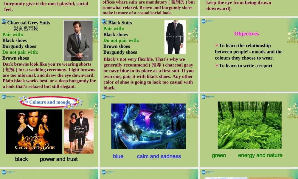 九年级英语上册 Unit 2 Colours Task课件 .ppt