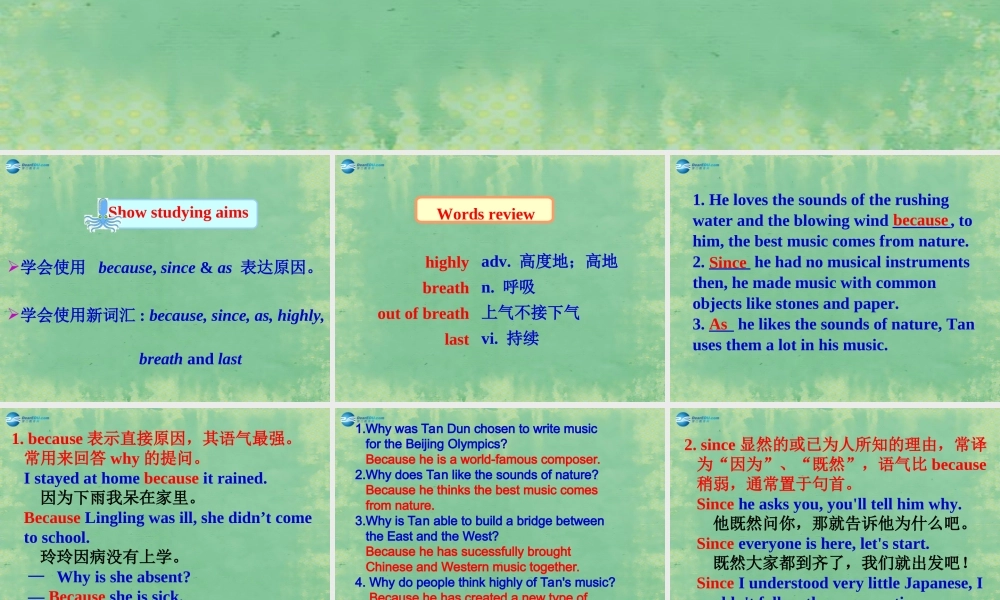 九年级英语上册 Unit 5 Art world Grammar课件 .ppt