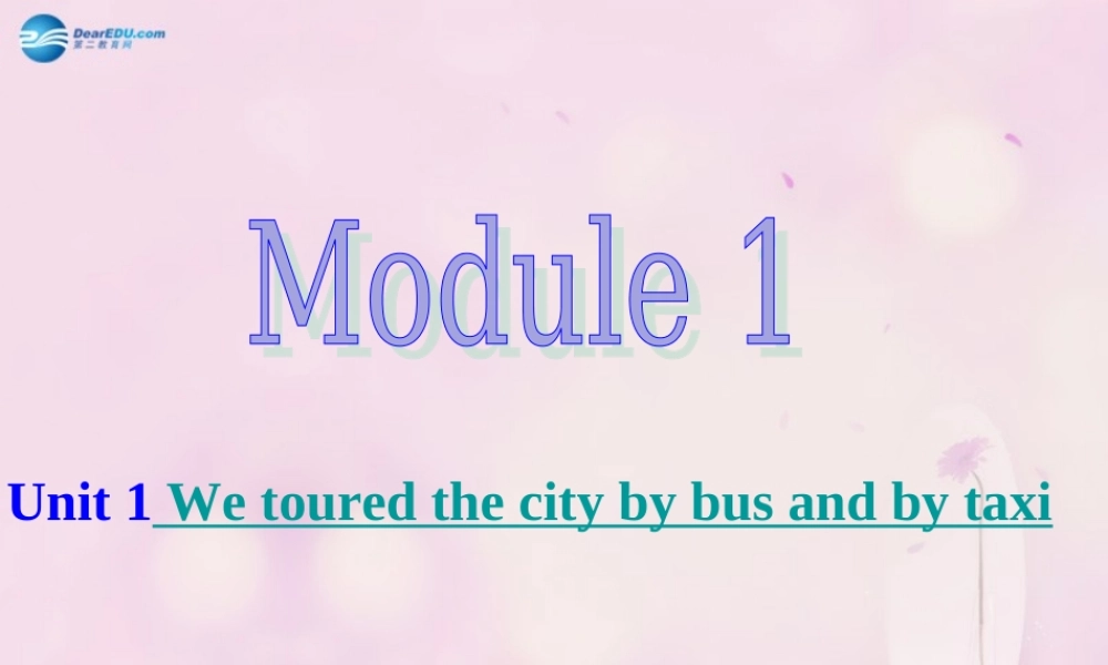 九年级英语下册 Module 1 Unit 1 We toured the city by bus and by taxi课件2 .ppt