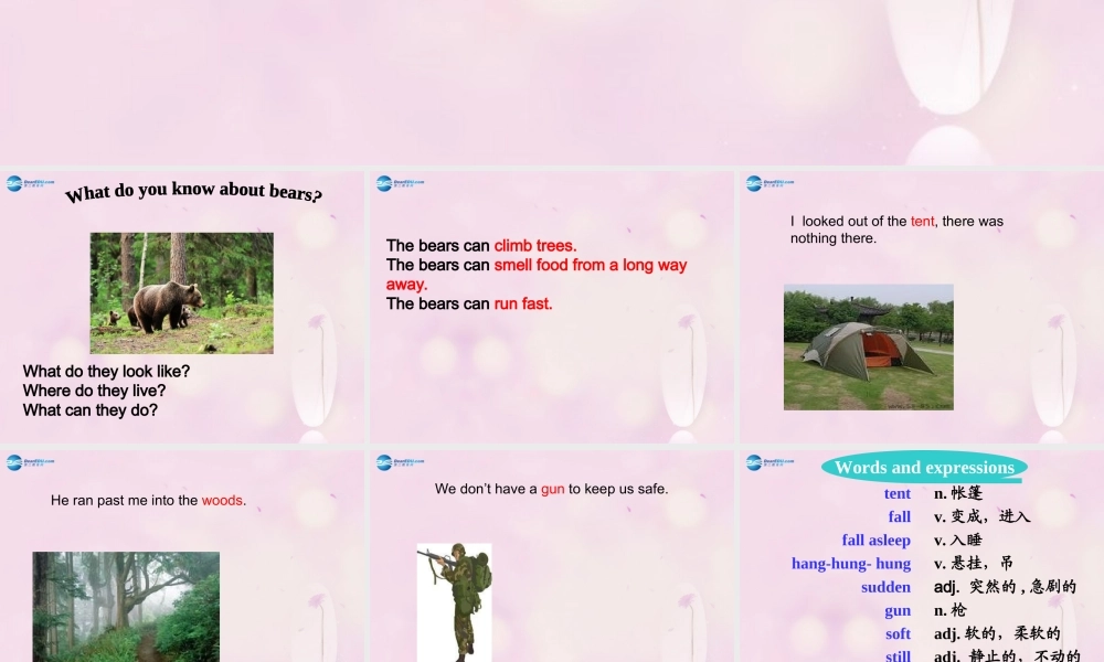 九年级英语下册 Module 4 Unit 2 We must keep the camp clean课件1 .ppt