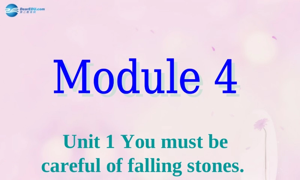 九年级英语下册 Module 4 Unit 1 You must be careful of falling stones课件2 .ppt
