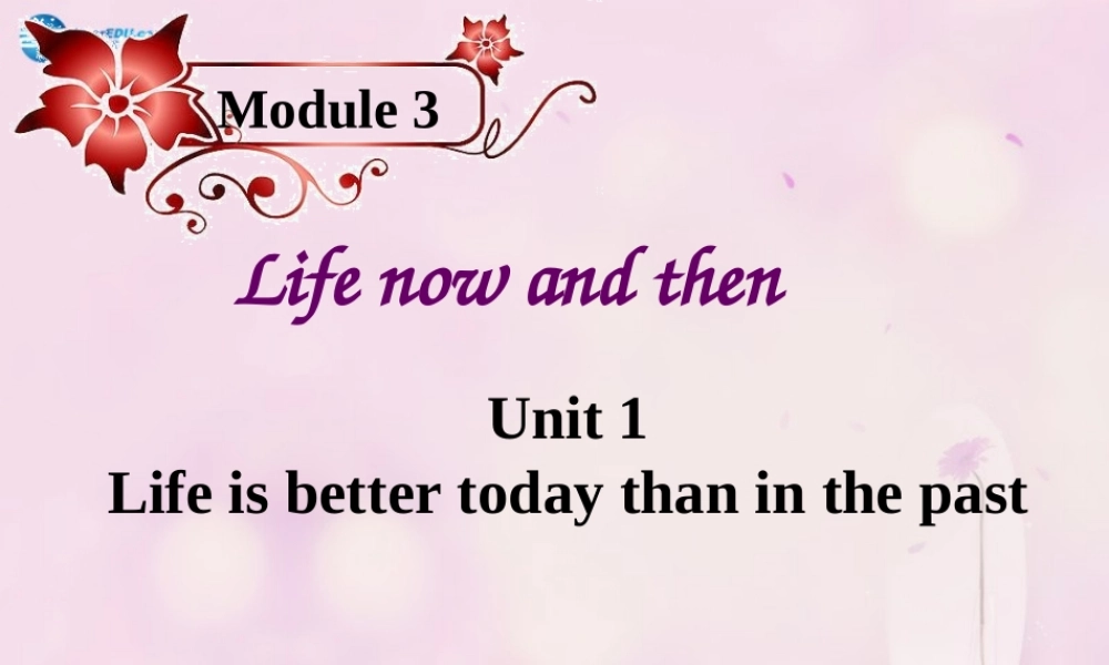 九年级英语下册 Module 3 Unit 1 Life is better today than in the past课件 .ppt