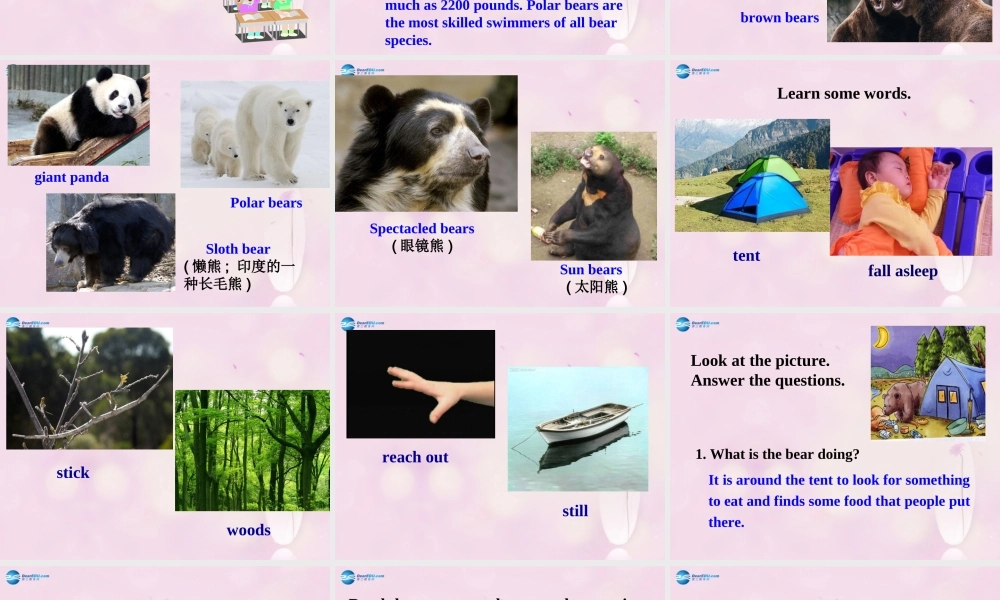 九年级英语下册 Module 4 Unit 2 We must keep the camp clean课件2 .ppt