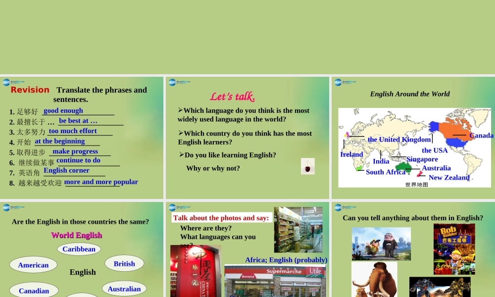 九年级英语下册 Module 7 Unit 2 We all own English课件 .ppt