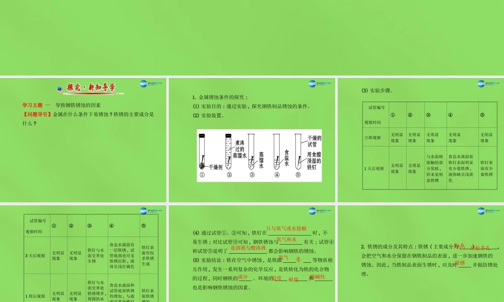 鲁教初中化学九下《9第3节 钢铁的锈蚀与防护》PPT课件 (2).ppt