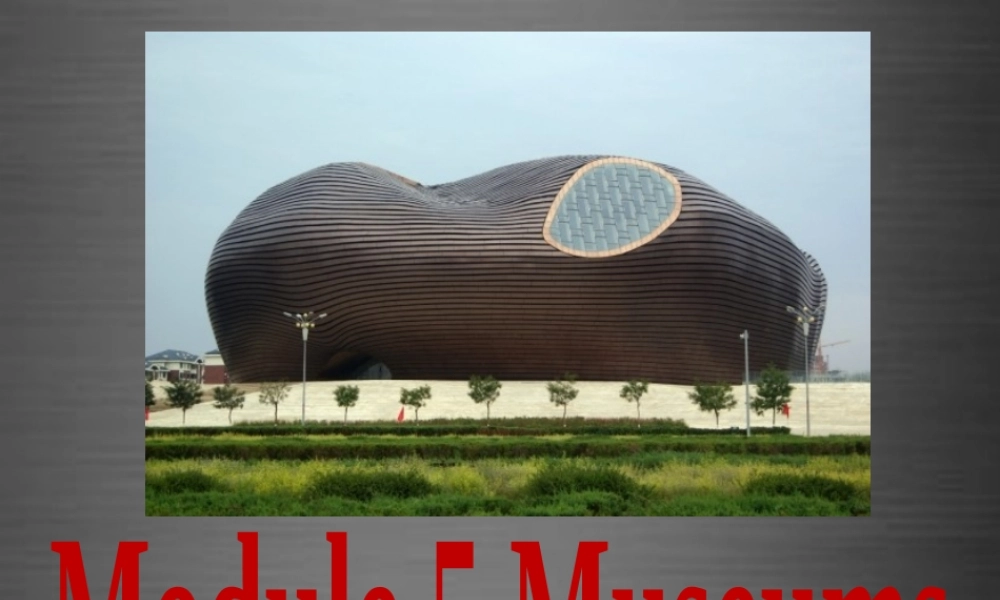 内蒙古鄂尔多斯康巴什新区第二中学九年级英语上册 Module 5 Unit 2 If you ever go to London, make sure you visit the Science Museum课件.ppt