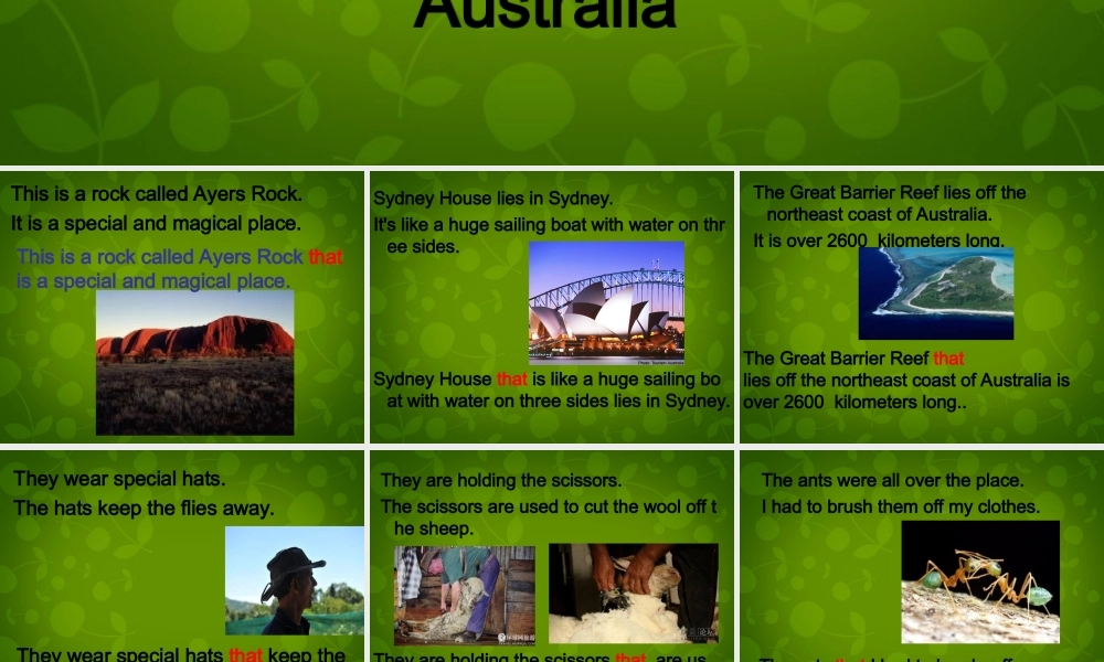 内蒙古鄂尔多斯康巴什新区第一中学九年级英语上册 Module 10 Unit 1 I have some photos that I took in Australia last year课件.ppt