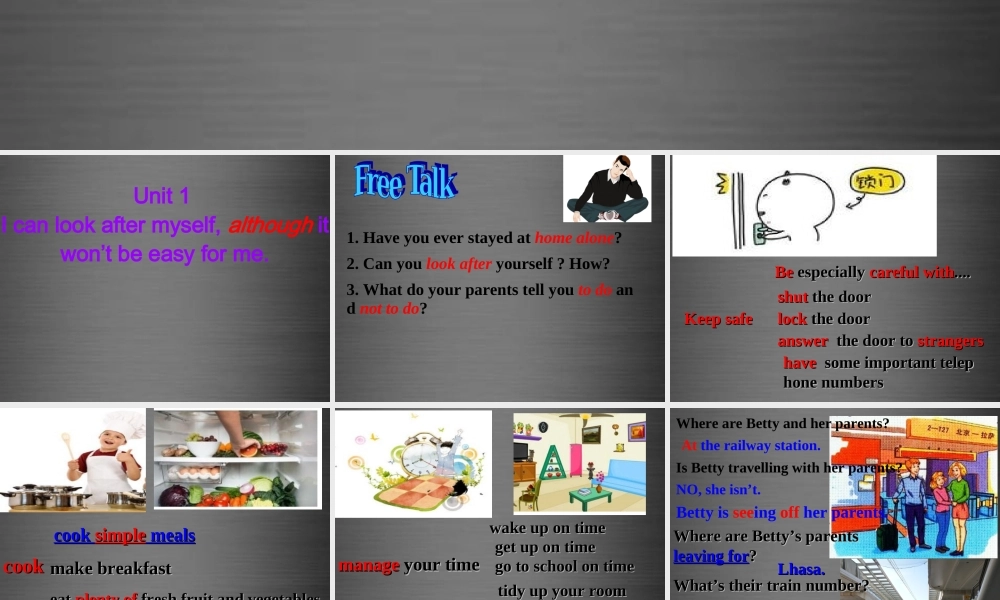 内蒙古鄂尔多斯康巴什新区第一中学九年级英语上册 Module 4 Unit 1 I can look after myself, although it won’t be easy for me课件.ppt