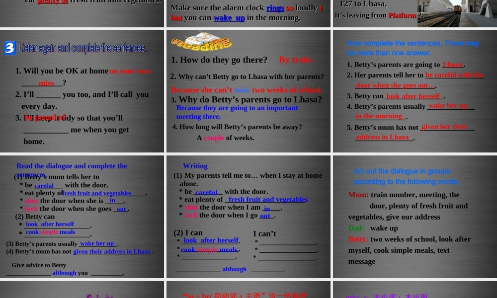 内蒙古鄂尔多斯康巴什新区第一中学九年级英语上册 Module 4 Unit 1 I can look after myself, although it won’t be easy for me课件.ppt