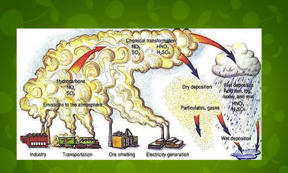内蒙古鄂尔多斯康巴什新区第一中学九年级英语上册 Module 12 Unit 1 If everyone starts to do something, the world will be saved课件.ppt