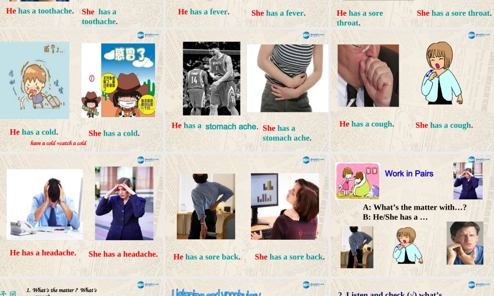 内蒙古满洲里市第五中学八年级英语上册 Module 4 Unit 1 I haven't done much exercise since i got my computer课件 .ppt