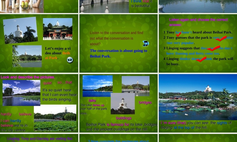 内蒙古满洲里市第五中学八年级英语下册 Module 8 Unit 1 I can hardly believe we’re in the city centre课件 .ppt