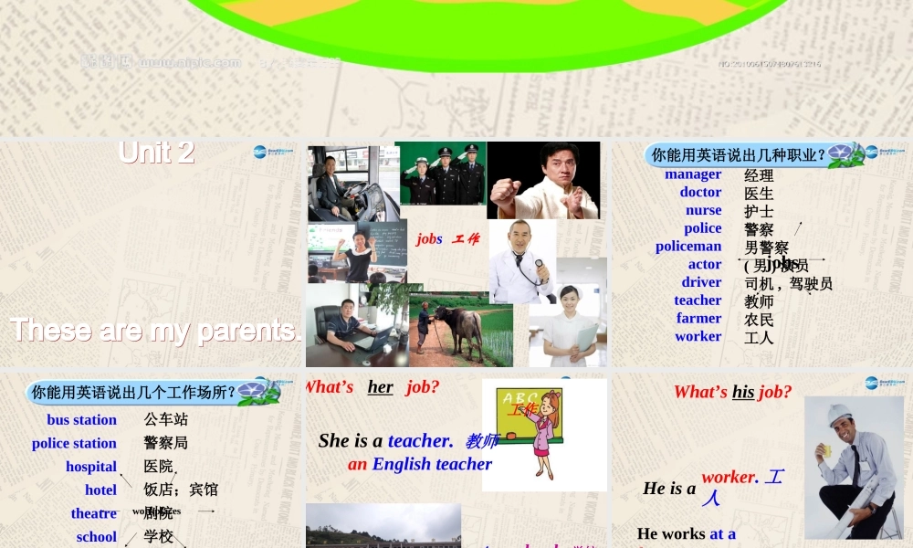 内蒙古满洲里市第五中学七年级英语上册 Module 2 Unit 2 These are my parents课件 （新版）外研版.ppt