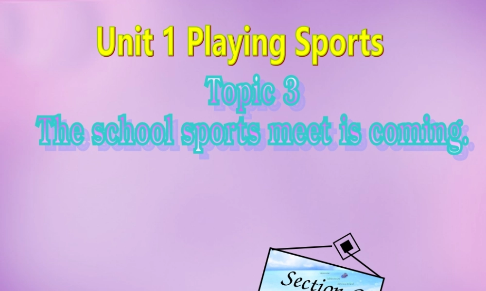 内蒙古乌海市第二十二中学八年级英语上册 Unit 1 Playing Sports Topic 3 Section C课件 （新版）仁爱版.ppt