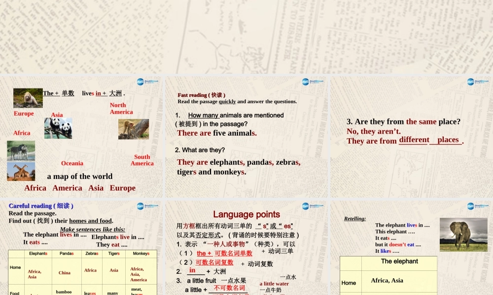 七年级英语上 册 Module 6 A trip to the zoo Unit 2 The tiger lives in Asia课件 （新版）外研版.ppt