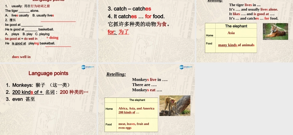 七年级英语上 册 Module 6 A trip to the zoo Unit 2 The tiger lives in Asia课件 （新版）外研版.ppt