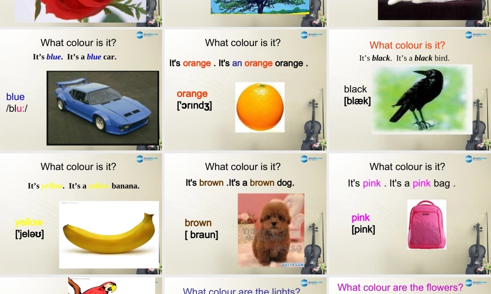 七年级英语上 册 Starter Module 3 Unit 3 What colour is it？课件 （新版）外研版.ppt